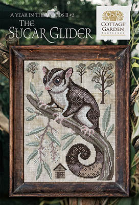 Sugar Glider - Year in the Woods II