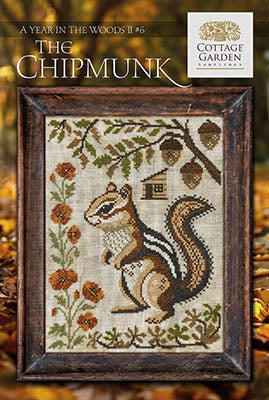 Chipmunk - Year in the Woods II