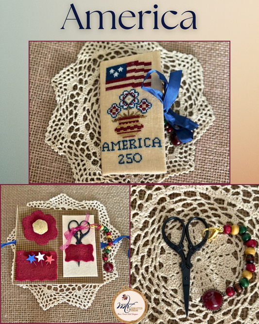 American Needle Case