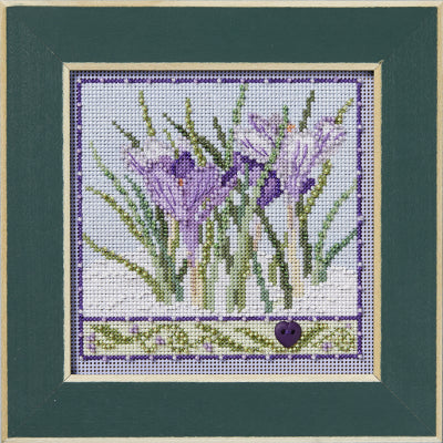 Crocuses