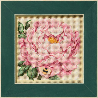 Peony (2025)
